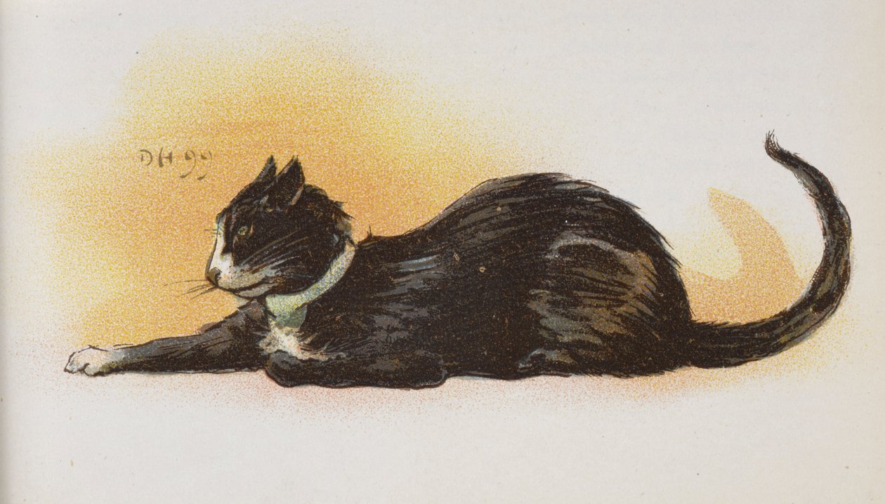 Un gatto da Dudley Hardy