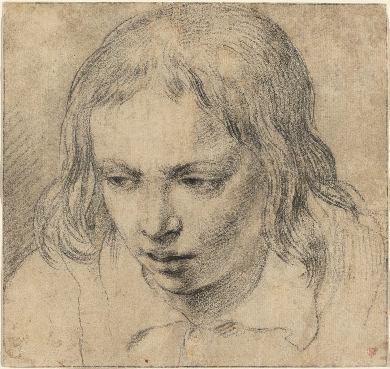 Testa di un giovane uomo da Dutch 17th Century