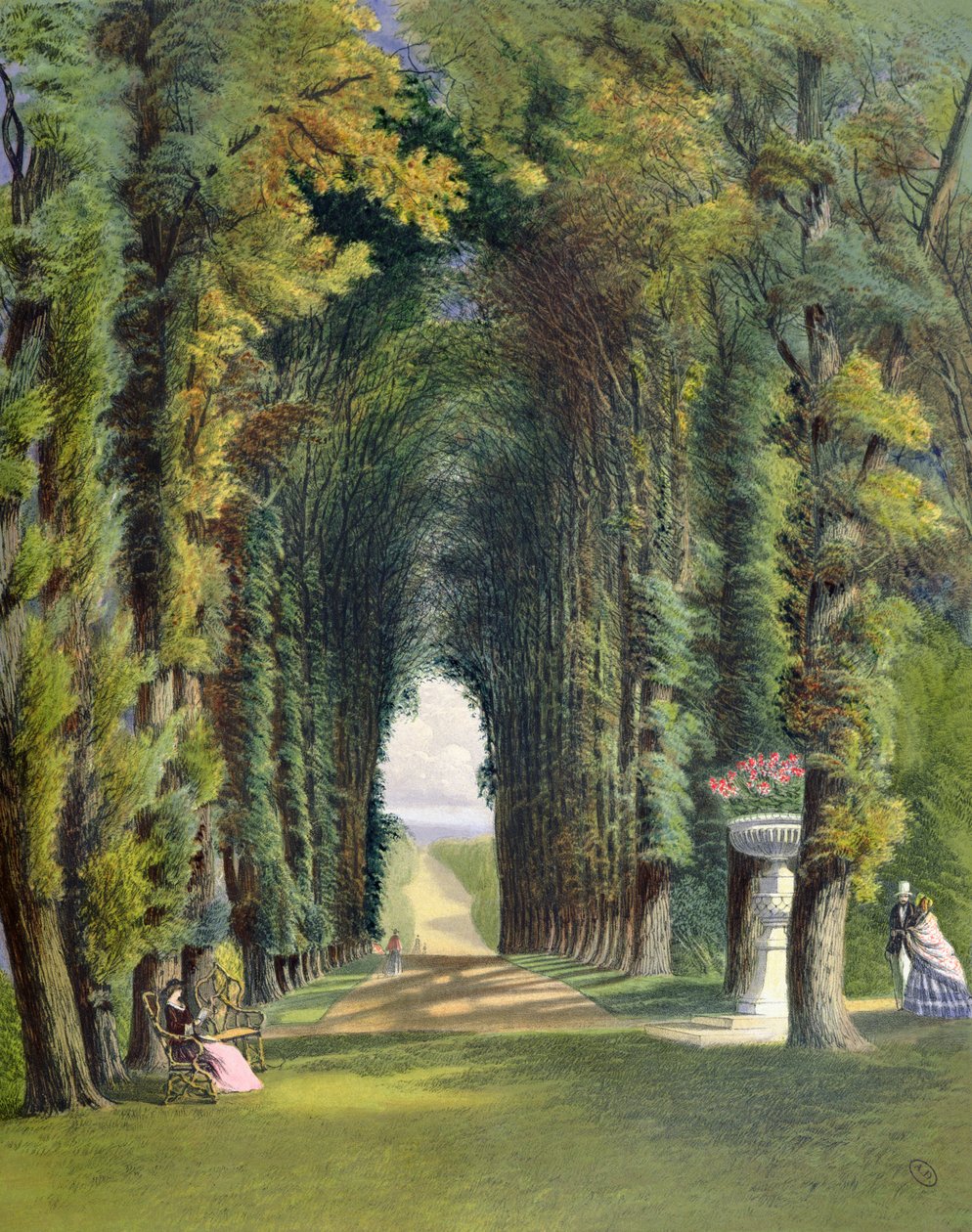 Vista nei giardini di Teddesley, da 