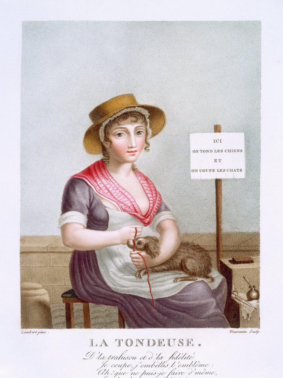 I clipper, c.1816 da E. F. Lambert