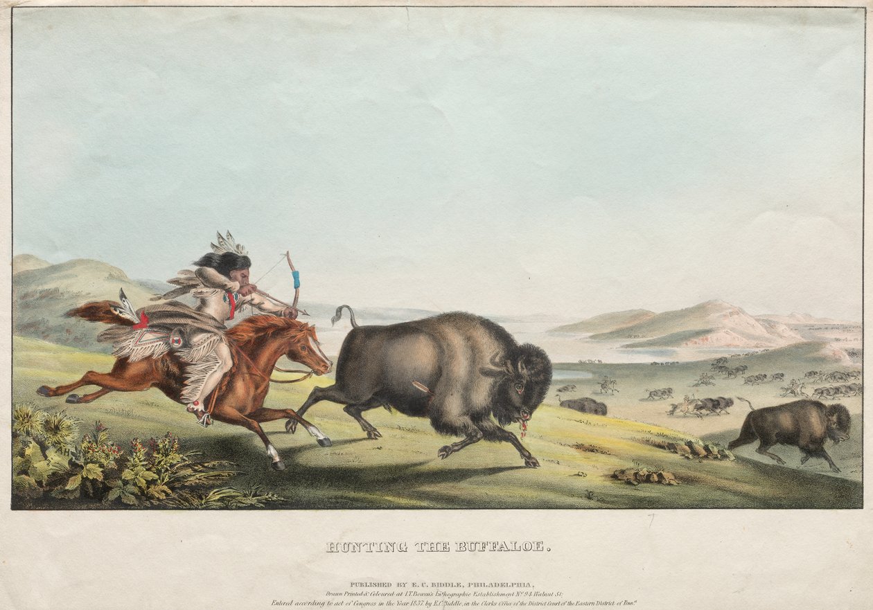 Caccia al bufalo da E. C. Biddle