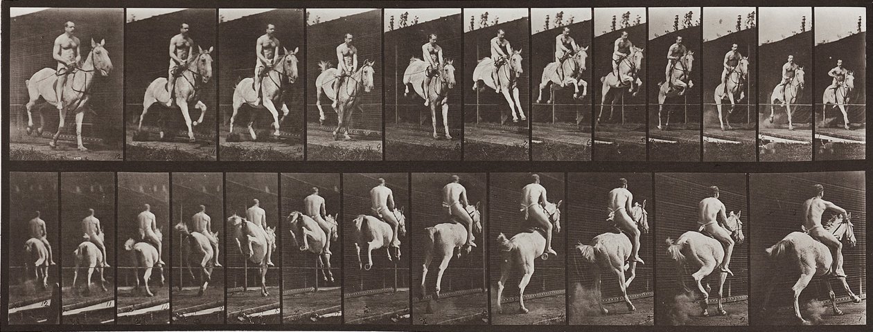Locomozione animale, Tavola 646 da Eadweard Muybridge