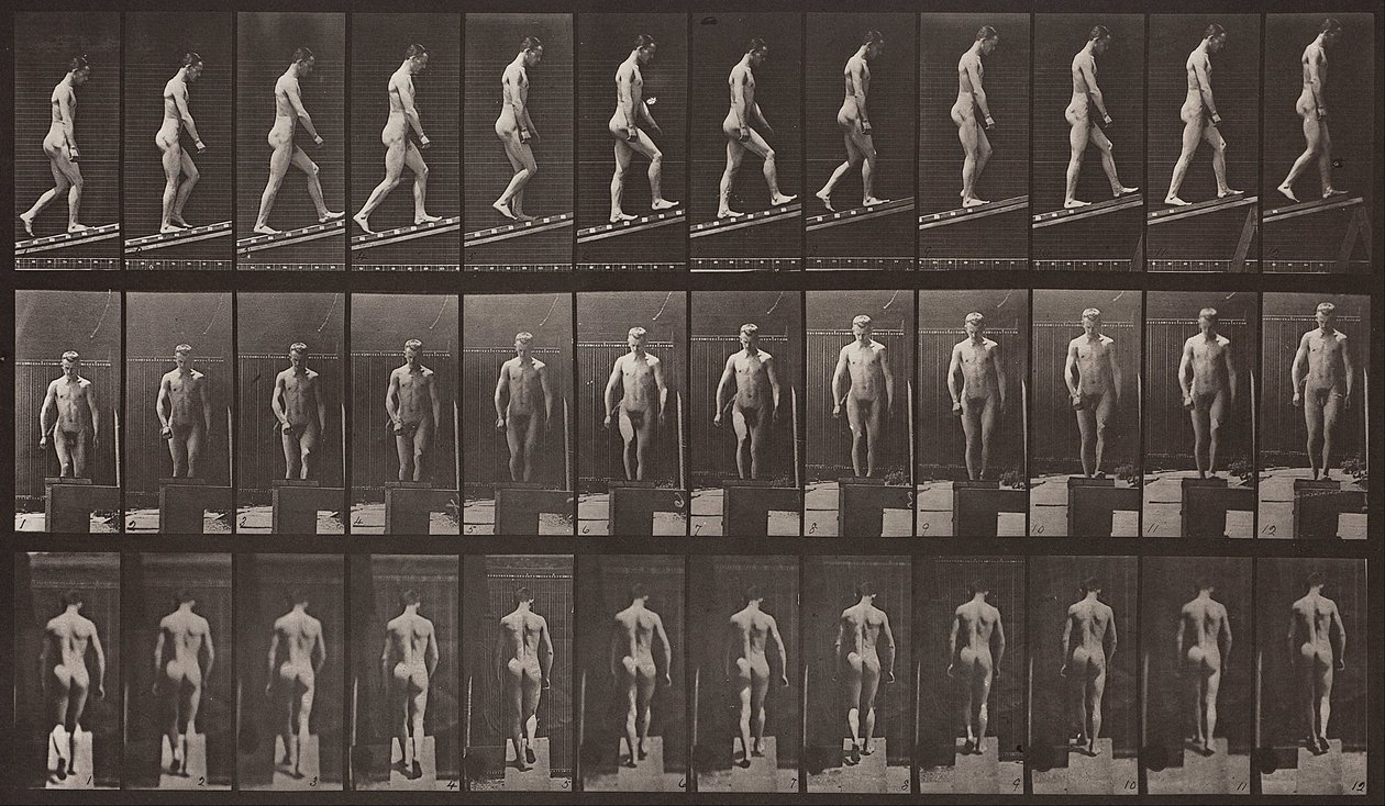 Locomozione animale, Tavola 74 da Eadweard Muybridge