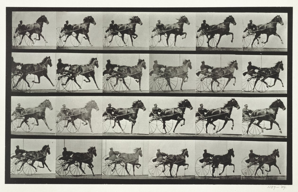 Guida in carrozza, tavola 613 da 