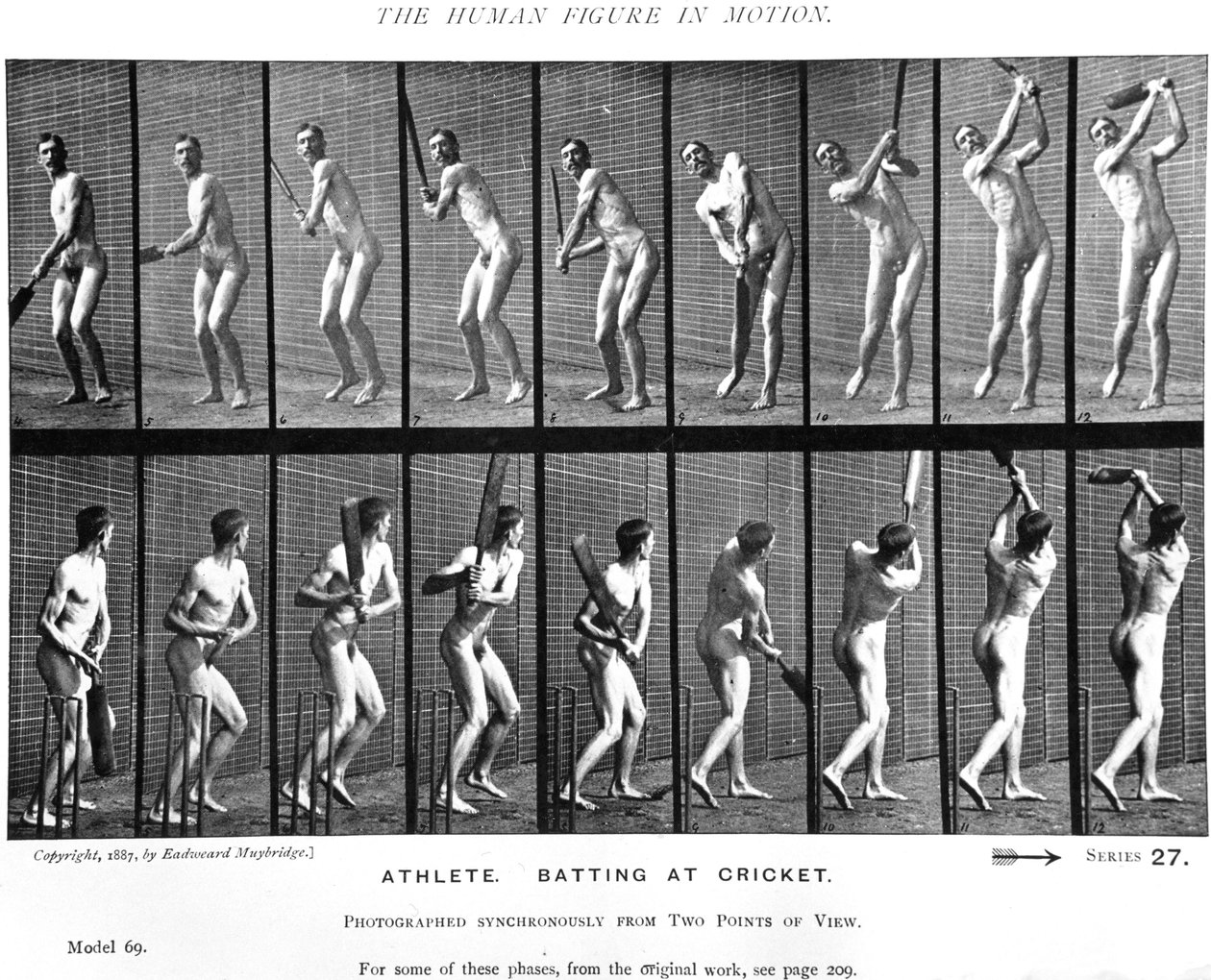 Giocatore di cricket, da 
