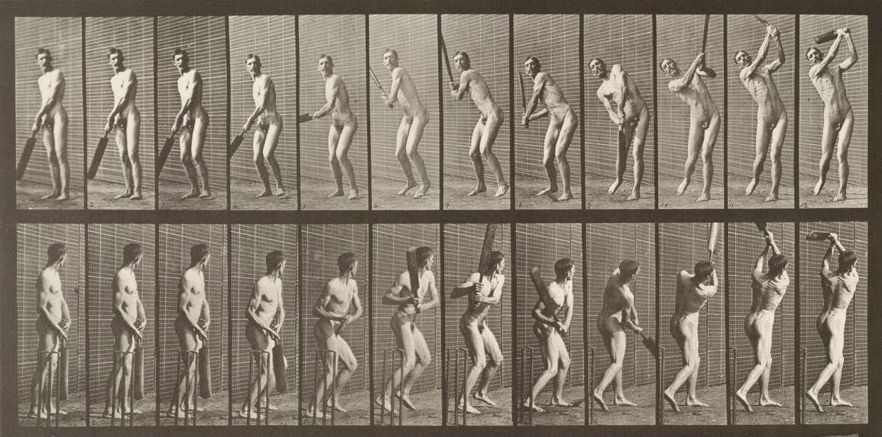 Giocatore di cricket, tavola 291 da 