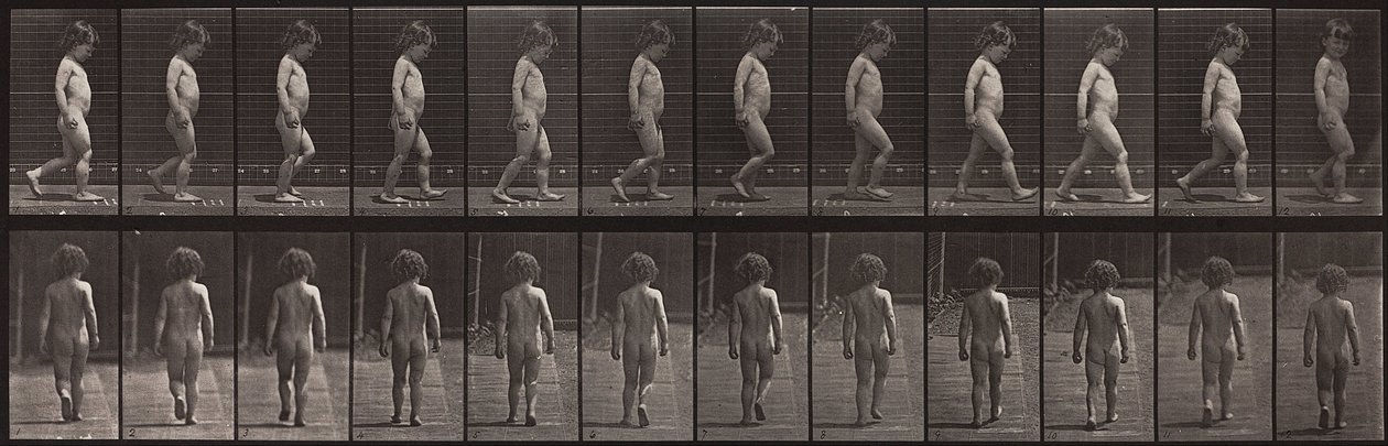 Locomozione animale, Tavola 467 da Eadweard Muybridge