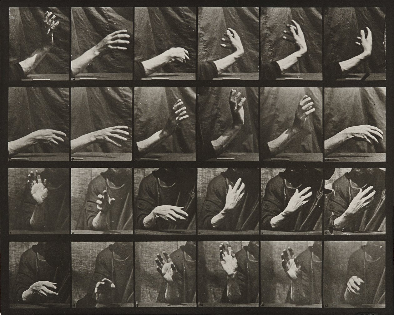 Movimento della mano; battendo il tempo da Eadweard Muybridge