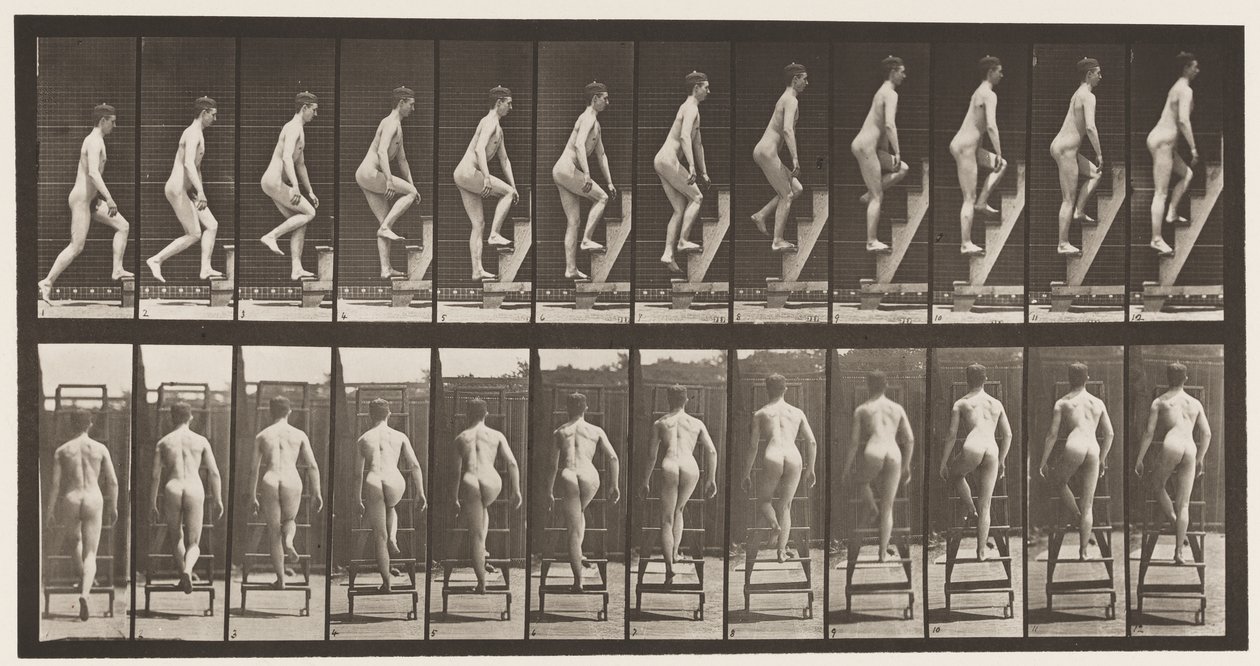 Tavola 109. Salire la scala, 1872-1885 da Eadweard Muybridge