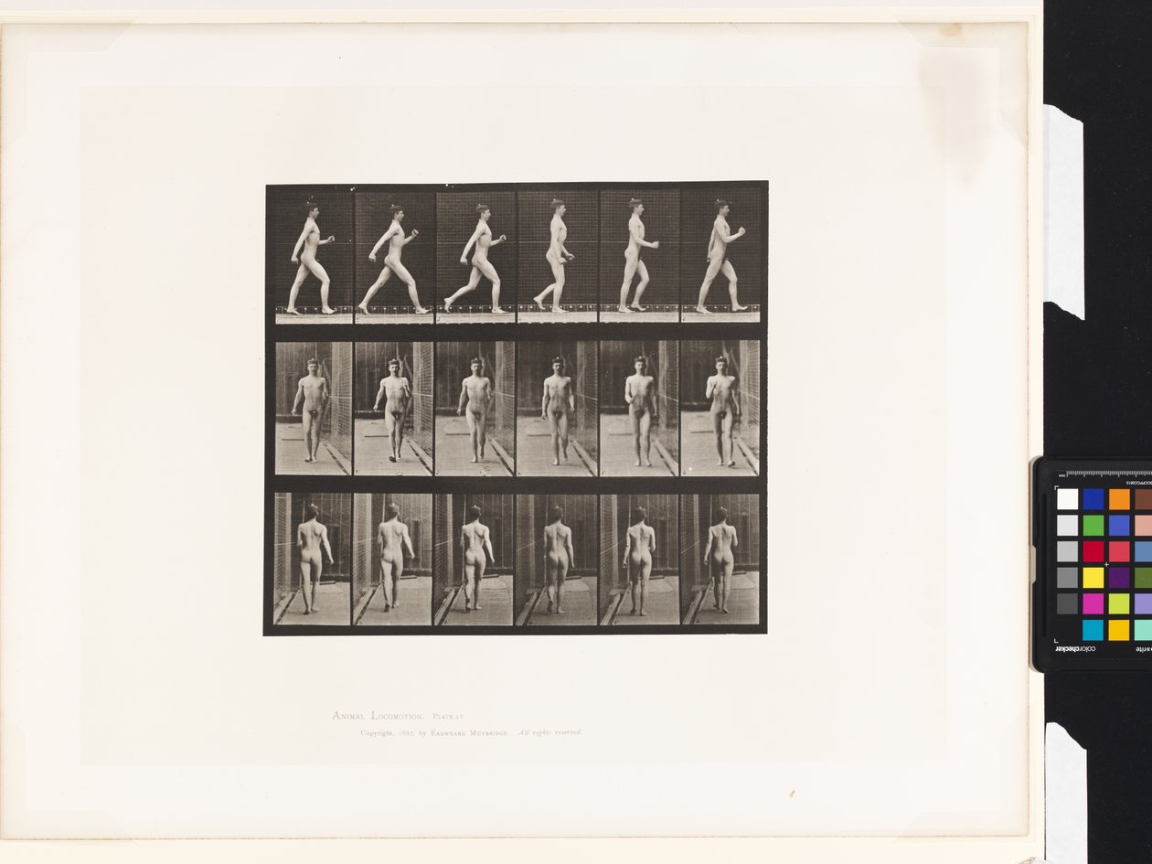 Tavola 10. Camminare da Eadweard Muybridge