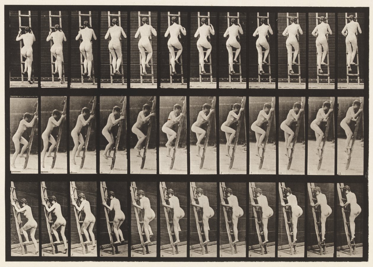 Piatto 112. Salendo la scala da Eadweard Muybridge
