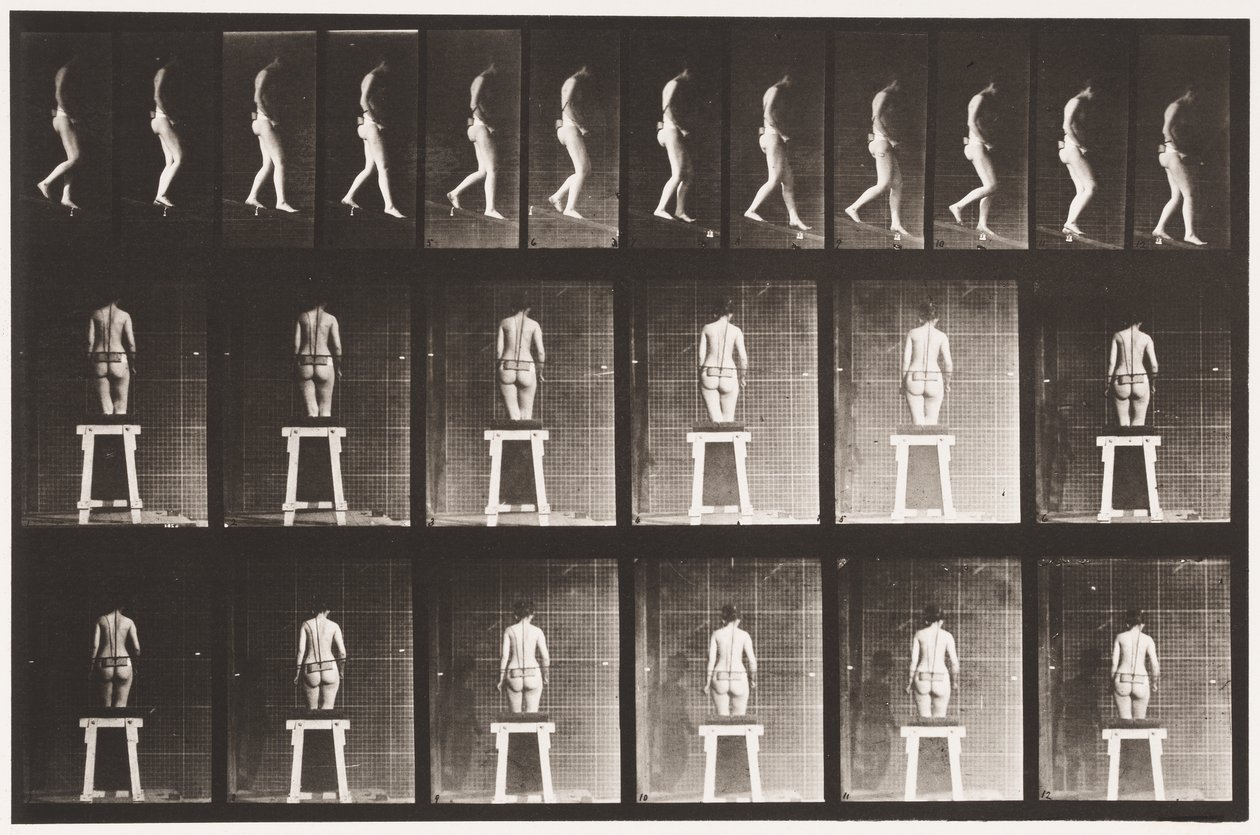 Piatto 118. Discesa da Eadweard Muybridge