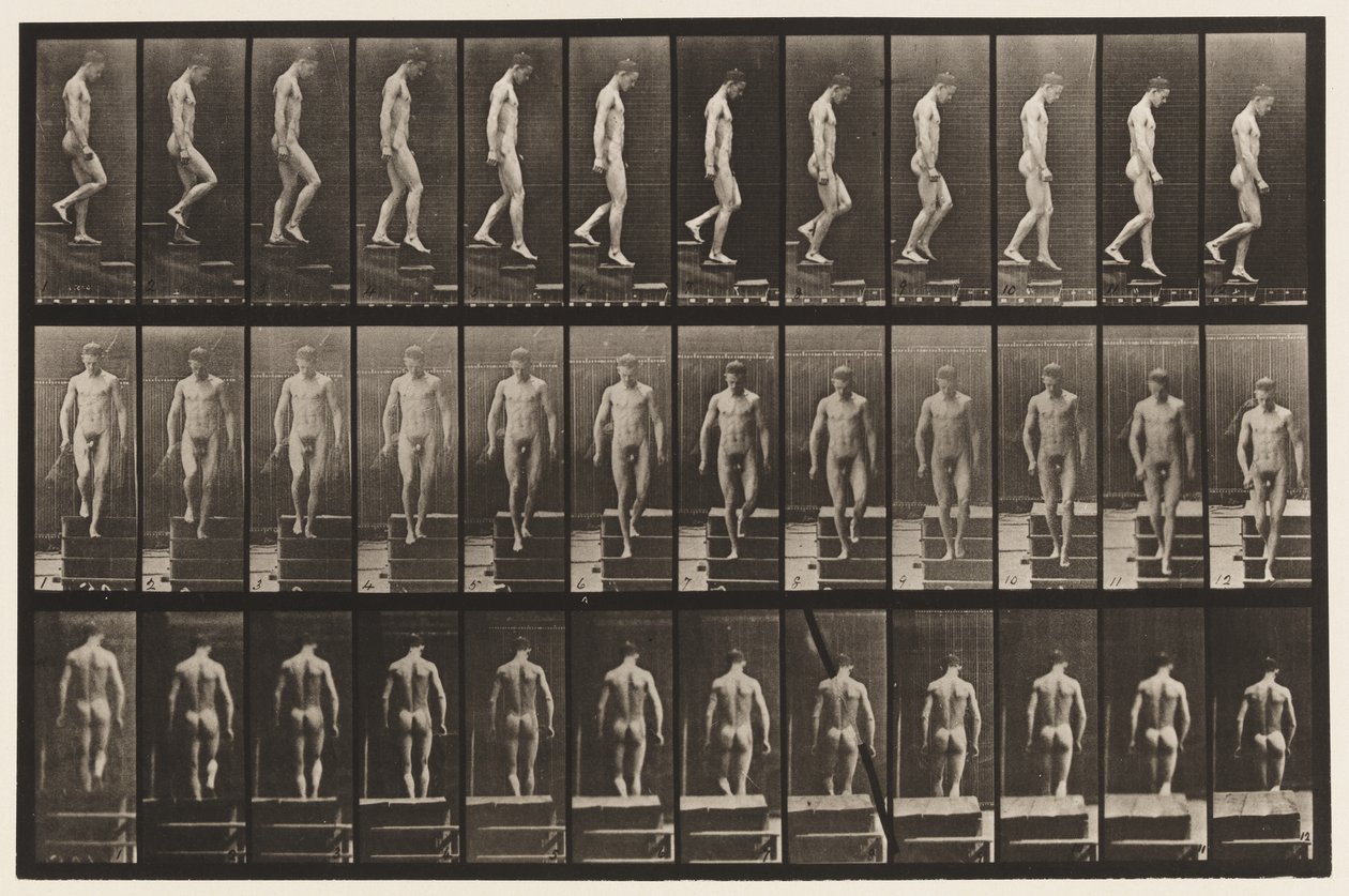 Tavola 125. Discesa delle scale da Eadweard Muybridge