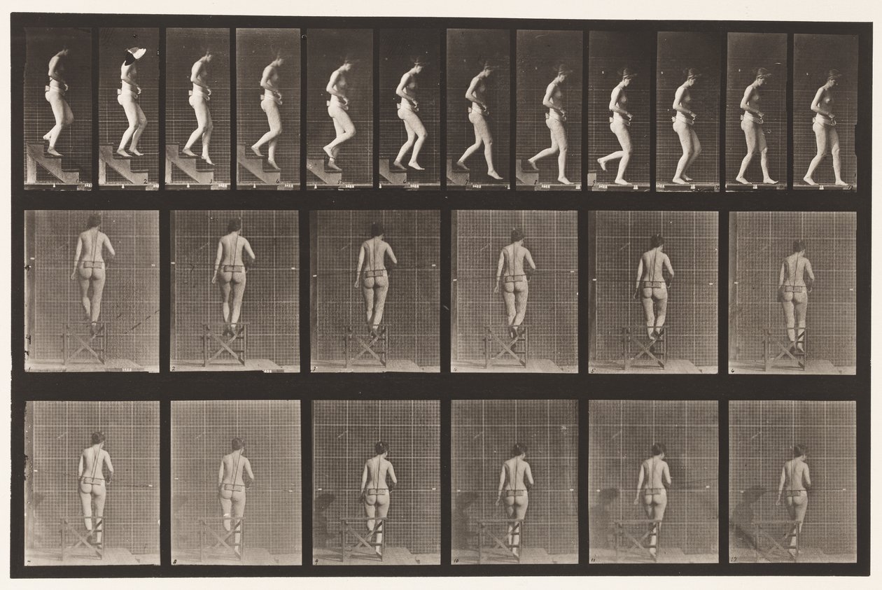 Tavola 130. Scendere le scale, mani giunte da Eadweard Muybridge