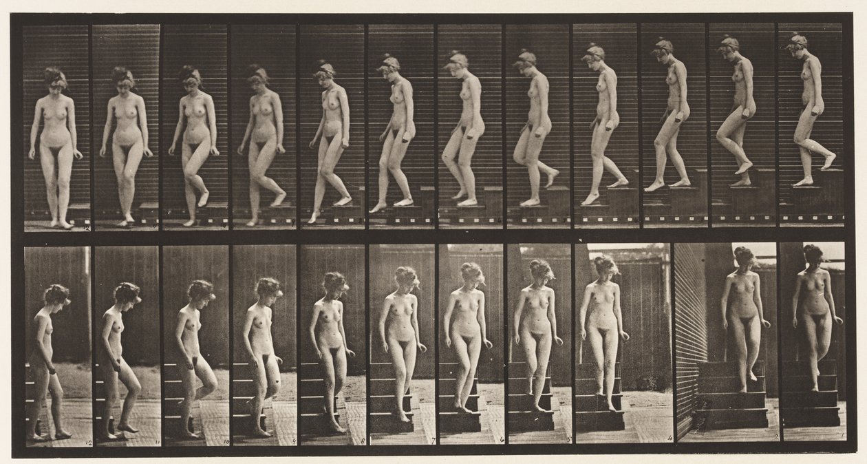 Scendere le scale, girarsi (tavola 137) da Eadweard Muybridge