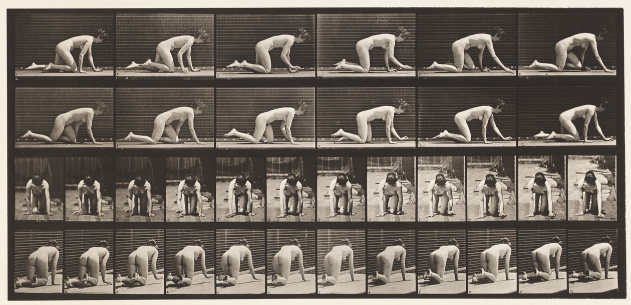 Piastra 182. Strisciare su mani e ginocchia da Eadweard Muybridge