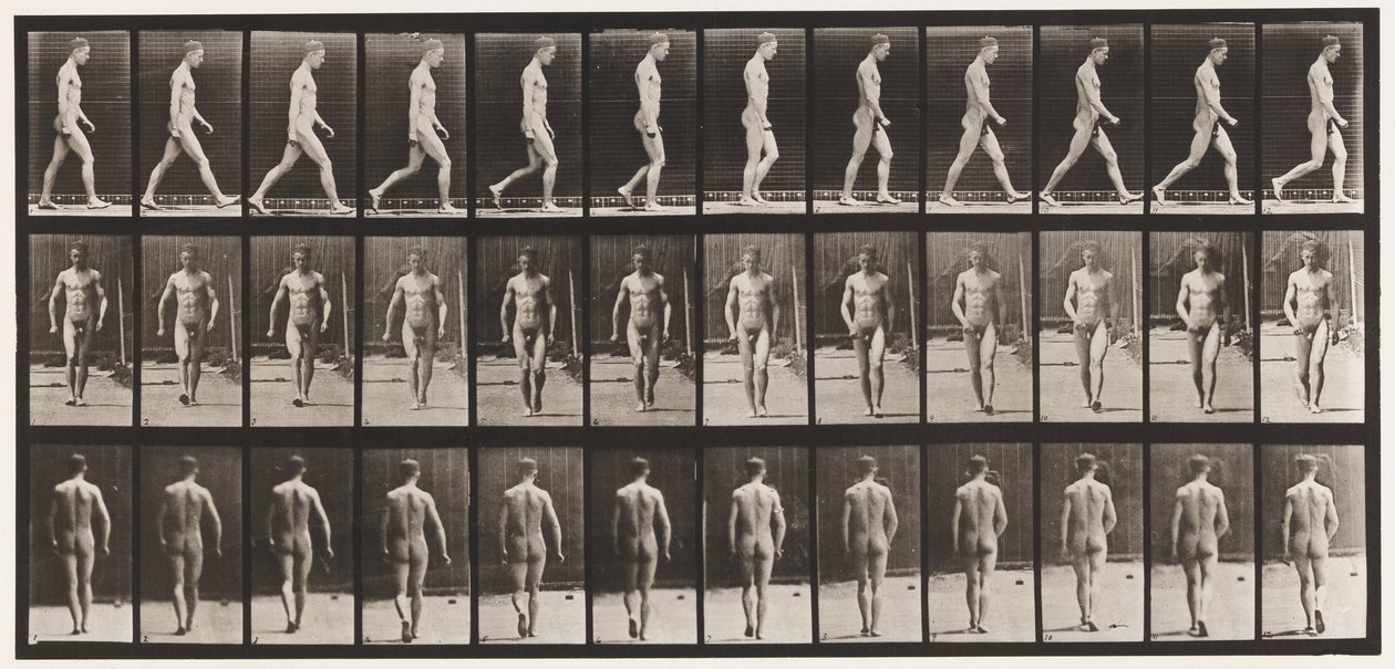Tavola 1. Camminare da Eadweard Muybridge