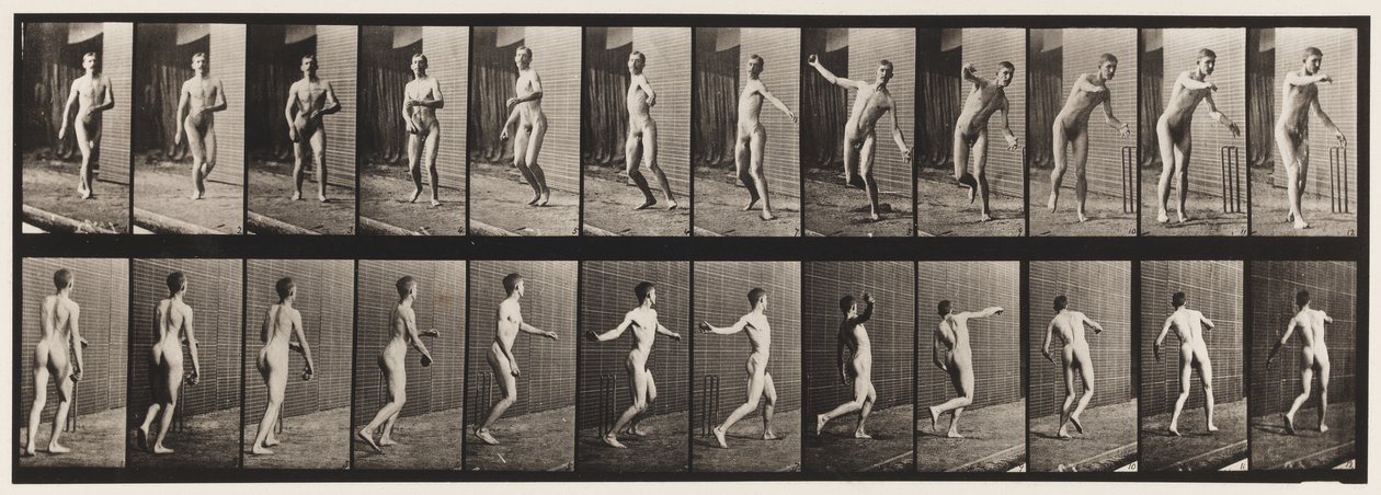 Tavola 289. Cricket; lancio a braccio tondo da Eadweard Muybridge