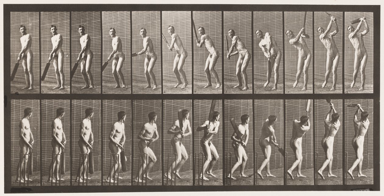 Cricket; battuta; drive da Eadweard Muybridge