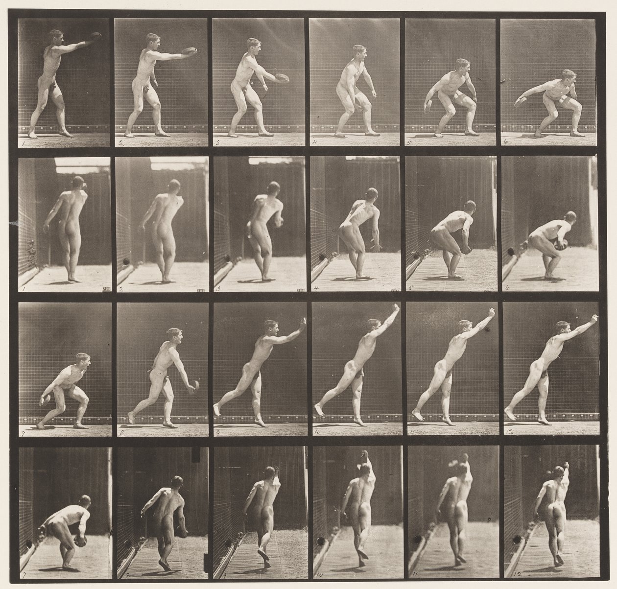 Tavola 307. Lanciare un disco di ferro, 1872-1885 da Eadweard Muybridge