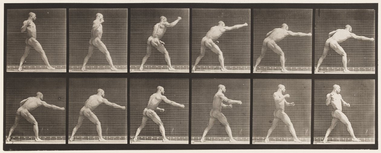 Tavola 344. Sferrare un colpo (mano destra) da Eadweard Muybridge