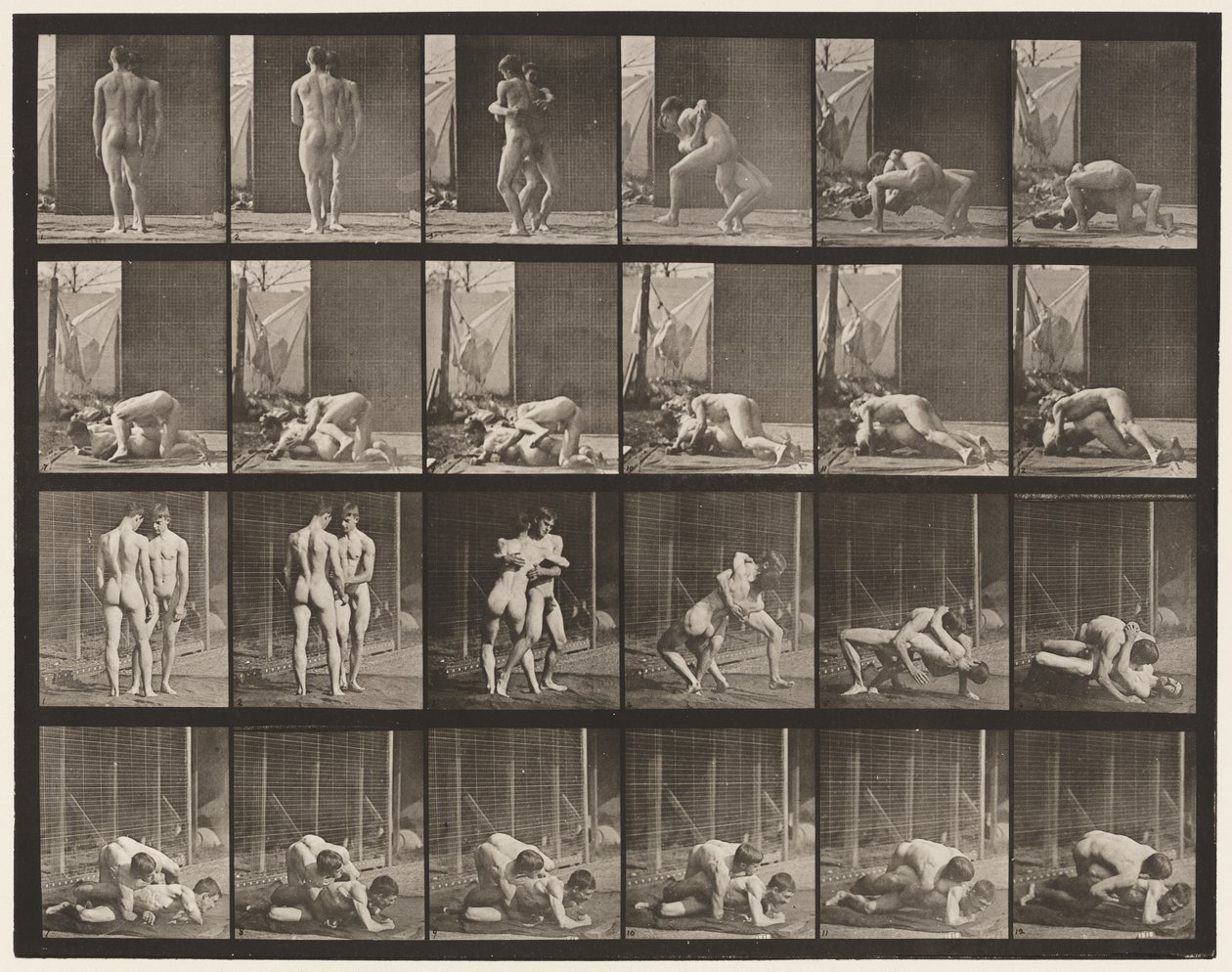 Tavola 346. Lotta, presa da Eadweard Muybridge