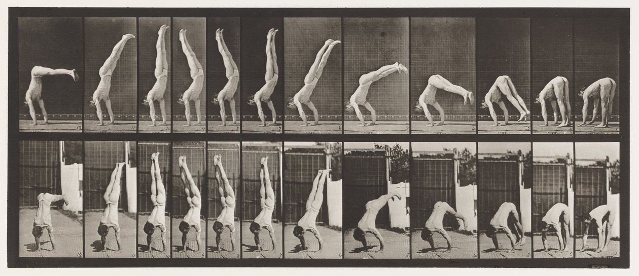 Acrobata, pressa verticale (tavola 371) da Eadweard Muybridge