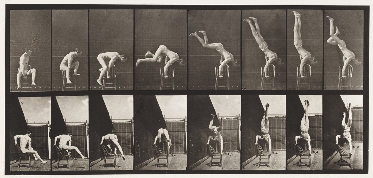 Tavola 373. Acrobata, pressa dalla sedia da Eadweard Muybridge