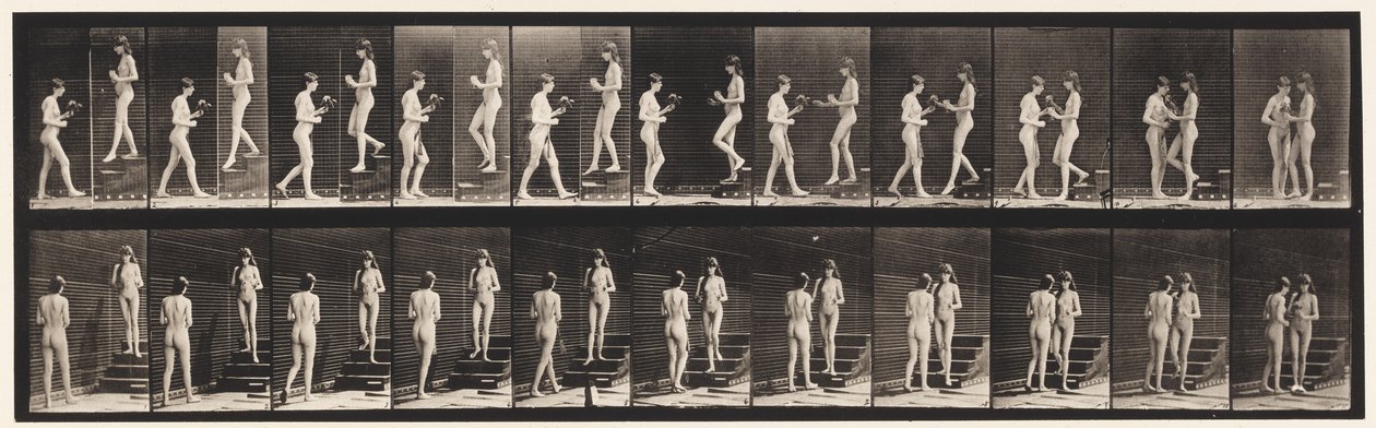Tavola 448. Due modelli da Eadweard Muybridge
