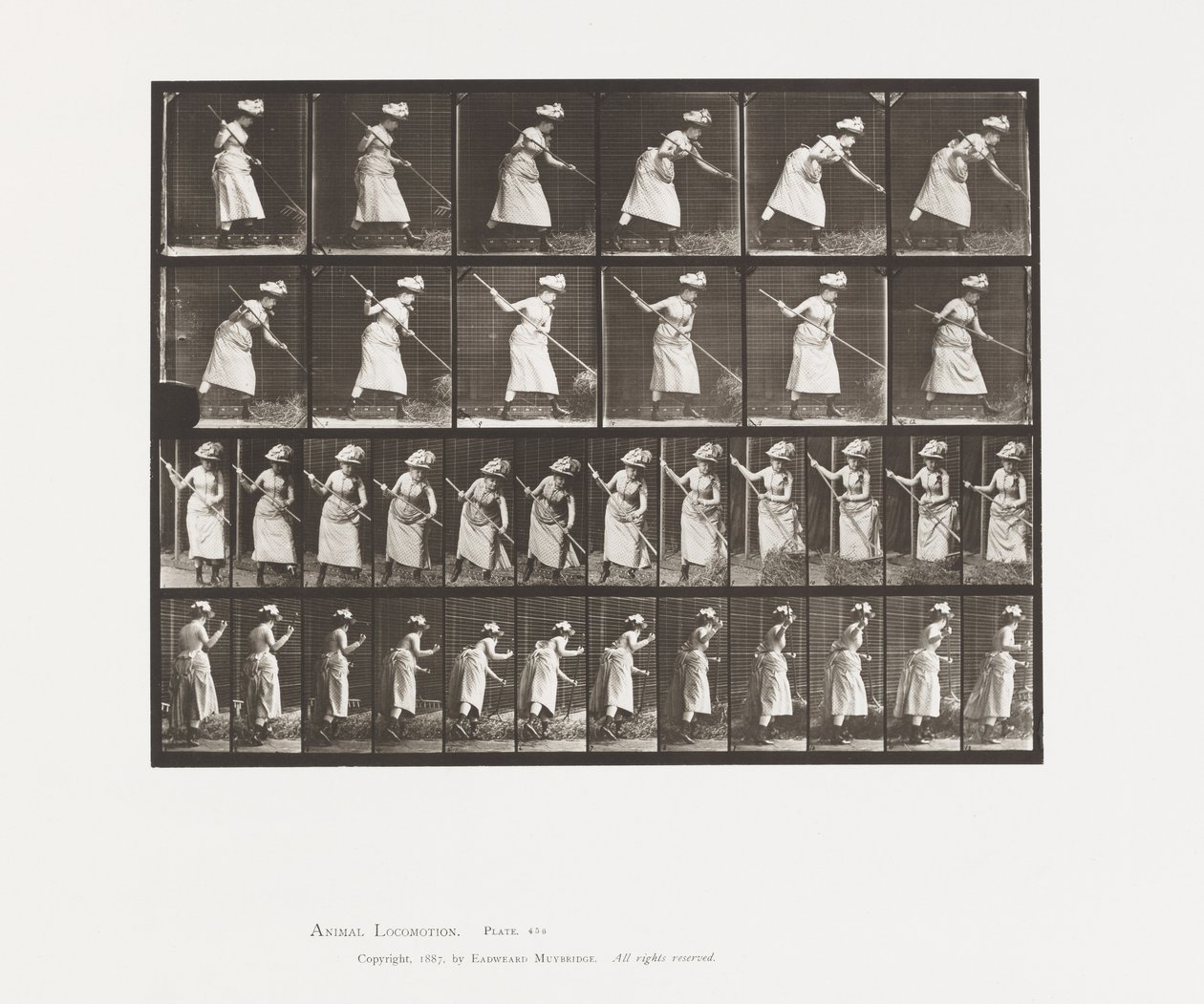 Rastrellare il fieno da Eadweard Muybridge
