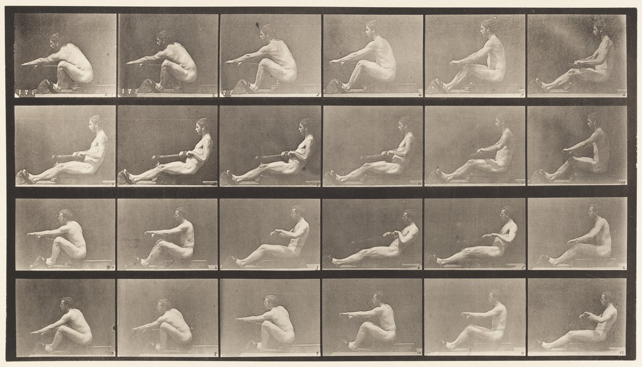 Tavola 492. A da Eadweard Muybridge