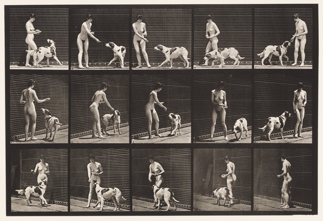 Piastra 514. Nutrire un cane da Eadweard Muybridge