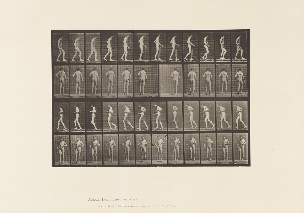 Sclerosi laterale; A,B, camminare da Eadweard Muybridge