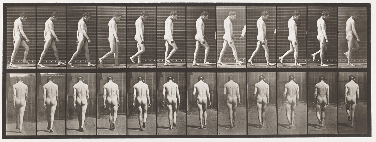 Epilessia; camminare da Eadweard Muybridge