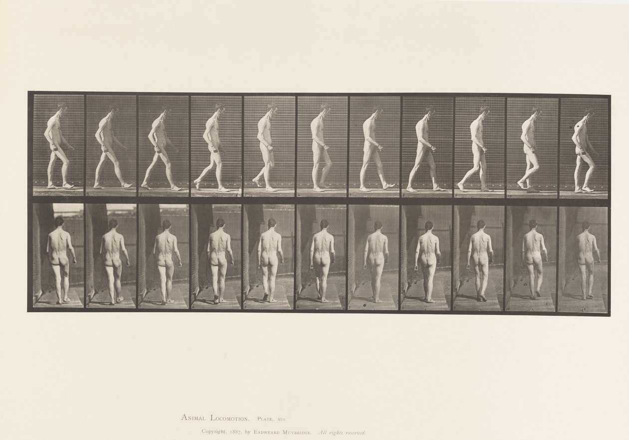 Atassia locomotoria; camminare da Eadweard Muybridge