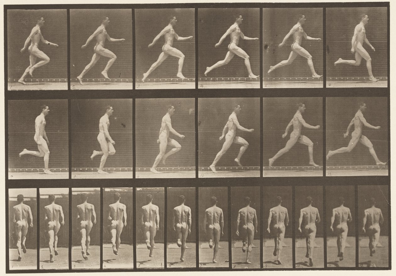 Tavola 64. Corsa a tutta velocità da Eadweard Muybridge