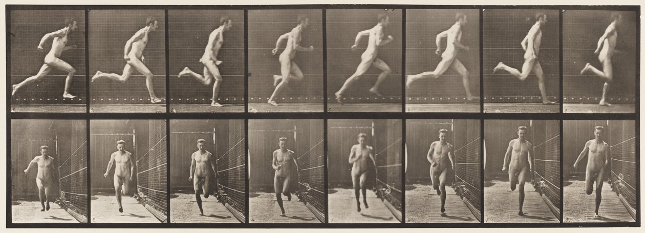 Tavola 67. Correre da Eadweard Muybridge
