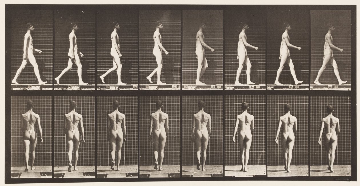 Camminare da Eadweard Muybridge