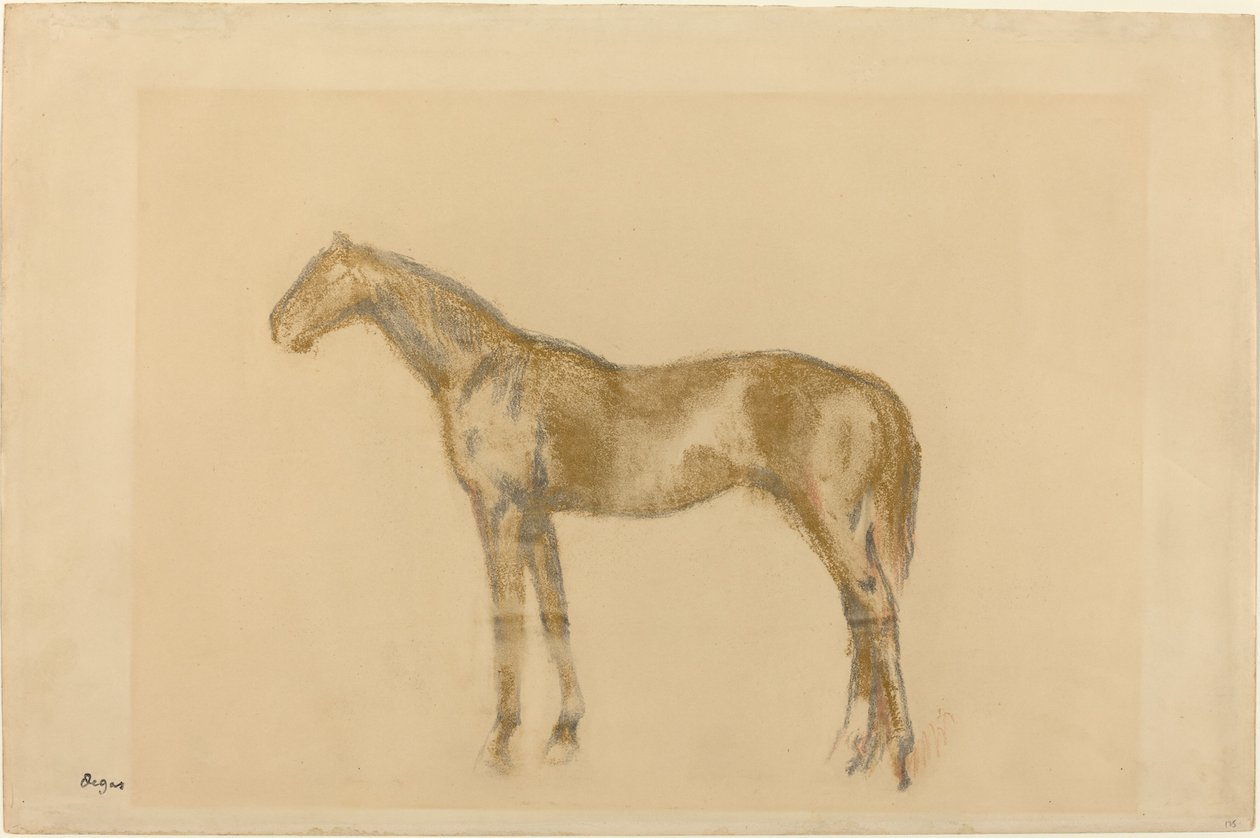 Cavallo, c. 1890 da Edgar Degas