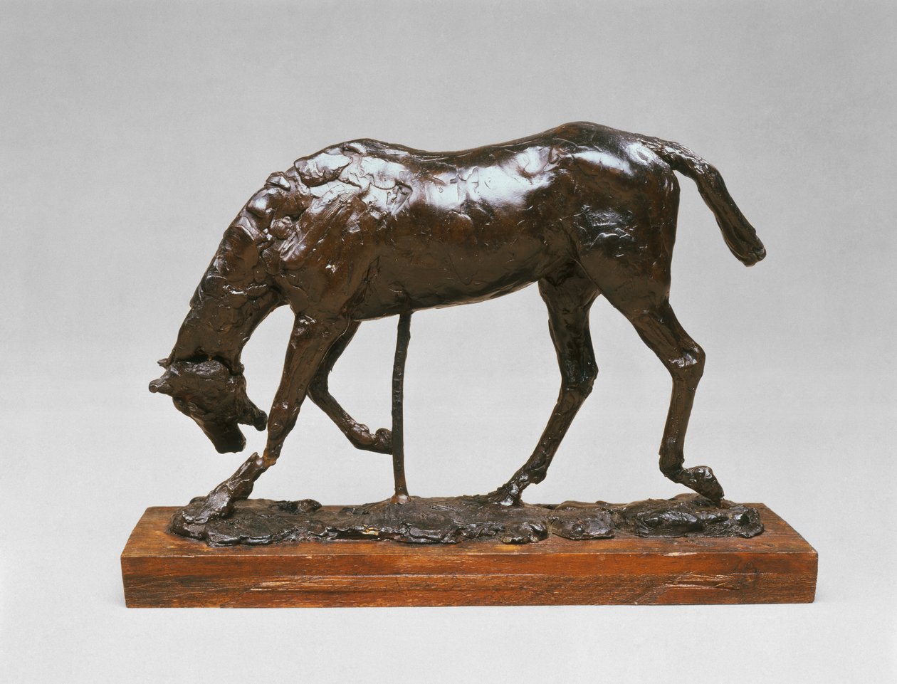 Cavallo con la Testa Abbassata da Edgar Degas