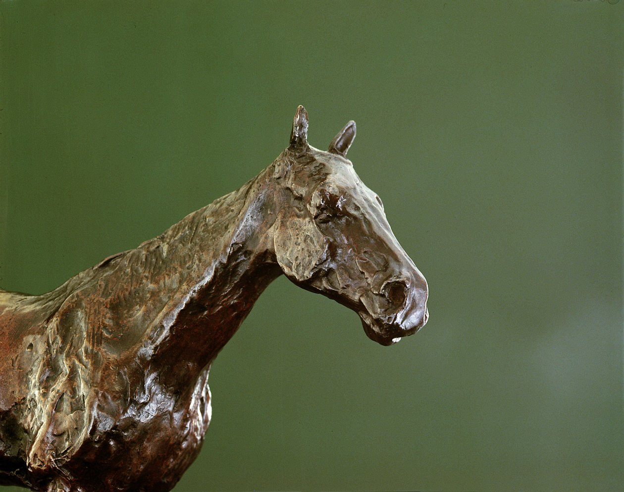 Testa di cavallo (bronzo) (dettaglio) da Edgar Degas