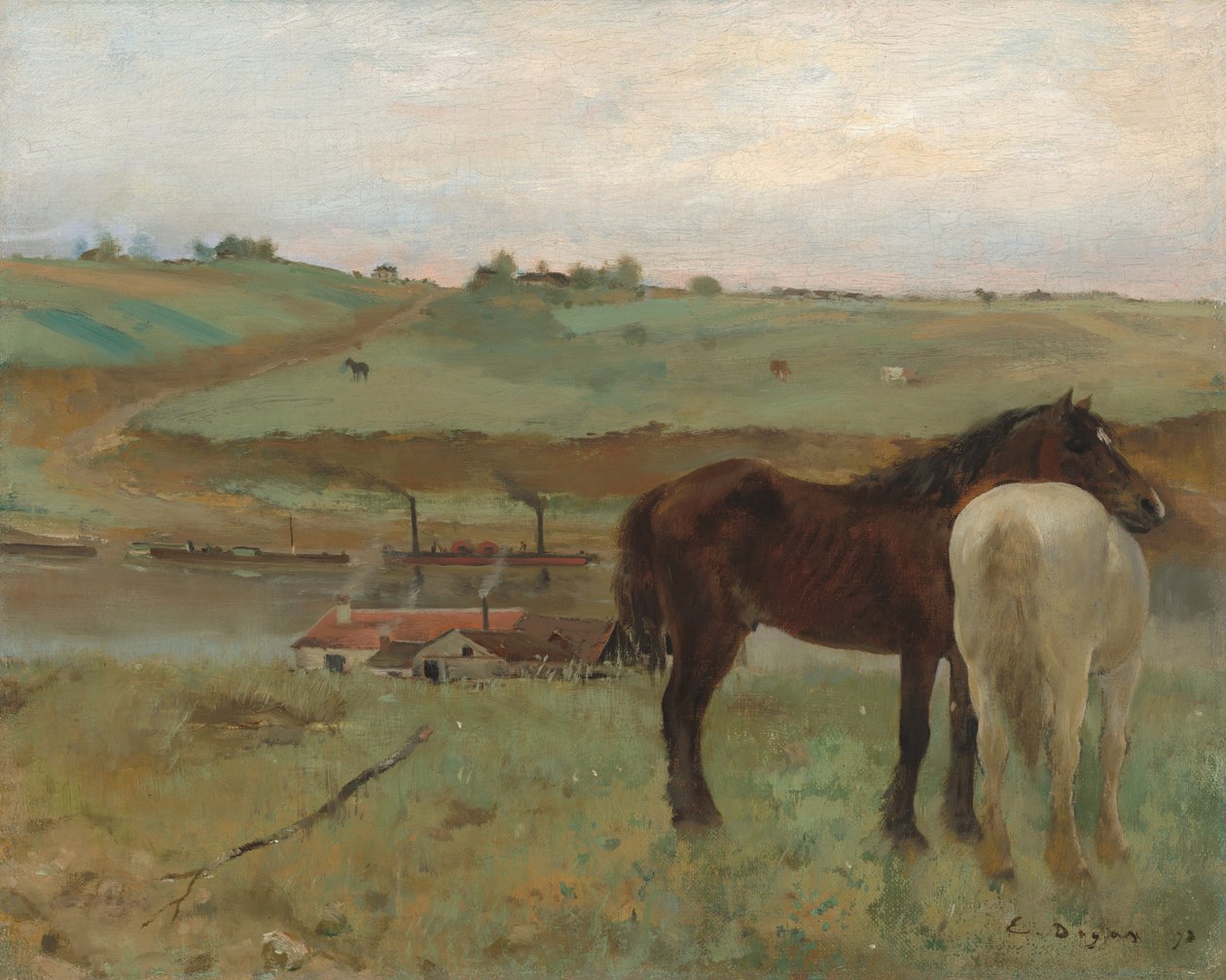 Cavalli in un prato da Edgar Degas