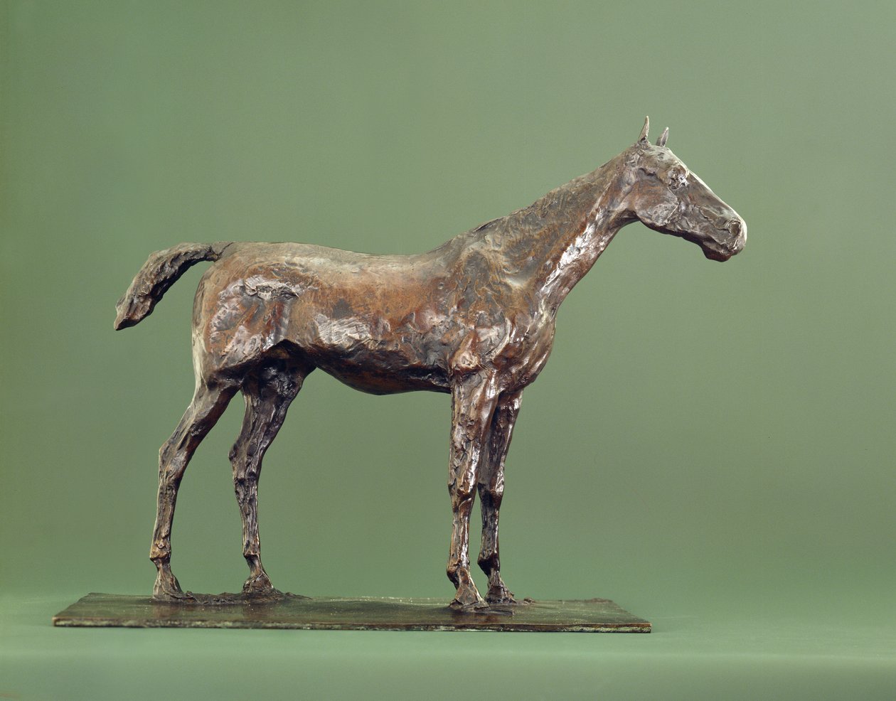 Cavallo in piedi da Edgar Degas