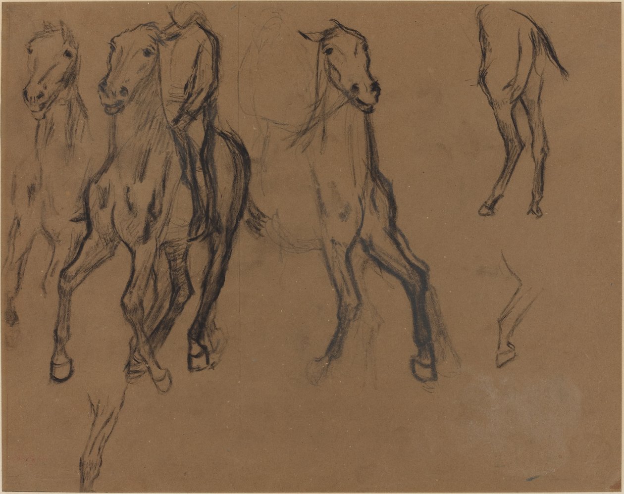Studio di cavalli da Edgar Degas