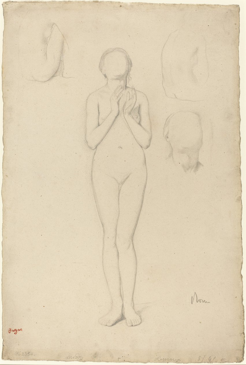 Studio di un nudo femminile da Edgar Degas