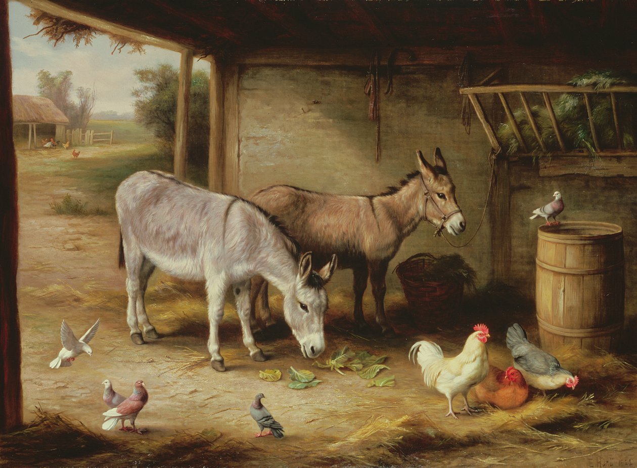 Amici del cortile da Edgar Hunt