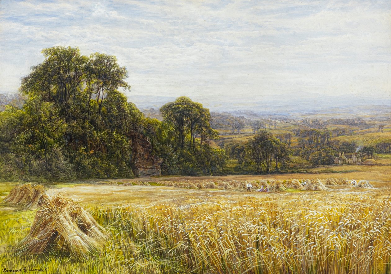 Tempo di raccolto da Edmund George Warren