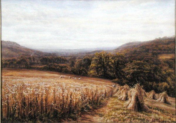 Tempo di raccolta vicino ad Ashburton da Edmund George Warren