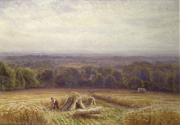 Raccolta da Edmund George Warren