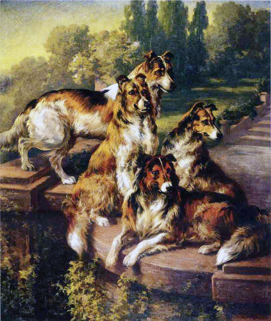 Collie da Edmund Henry Osthaus